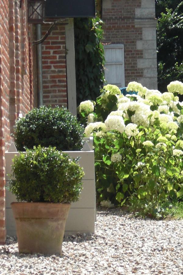 Chambres D'Aumont Luaran gambar